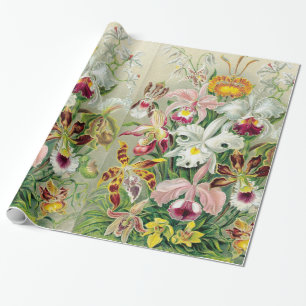 Orchidae Flowers Wrapping Paper