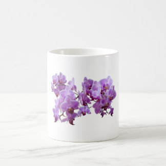 orchidea domestica coffee mug