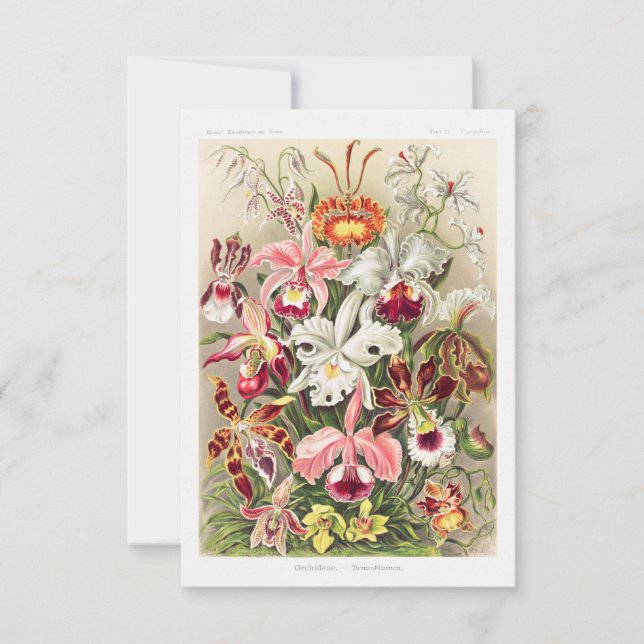 Orchideae Denusfloumen A Giltsch By Ernst Haeckel Save The Date (Front)