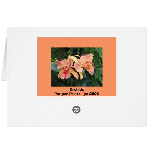 Orchids (Back Horizontal)