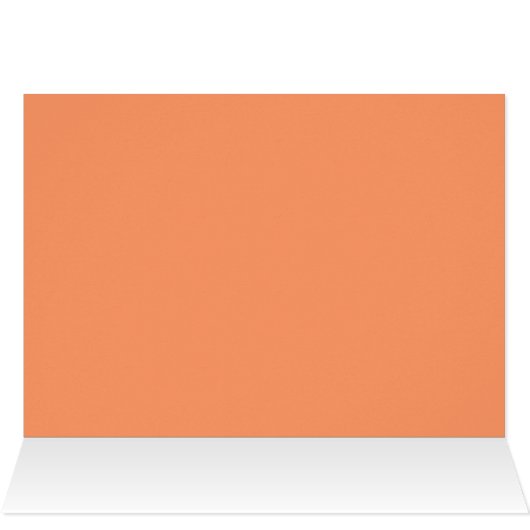 Orchids (Inside Horizontal (Top))