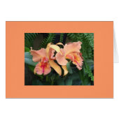 Orchids (Front Horizontal)