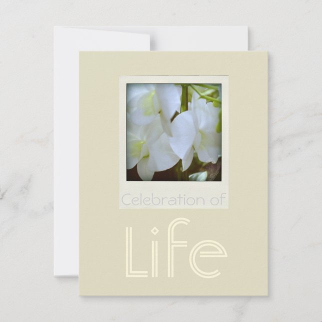 Orchids 1 Celebration of Life Funeral Announcement (Front)