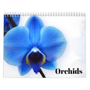 Orchids 2024 calendar