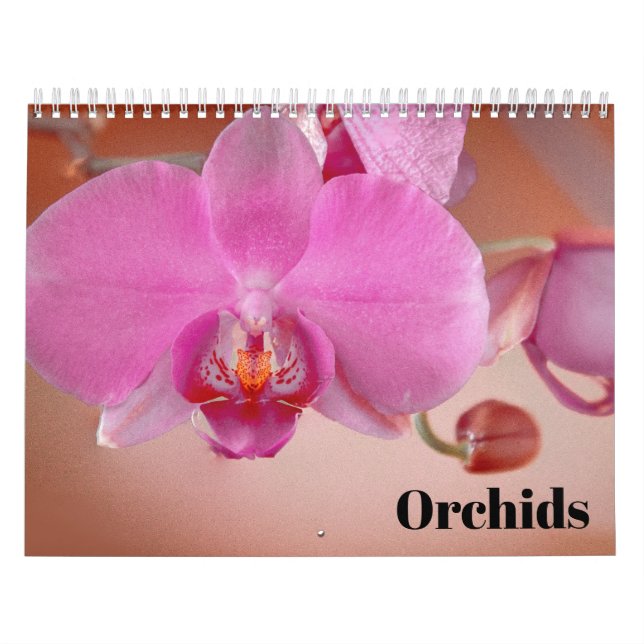 Orchids 2026 calendar (Cover)