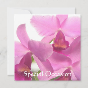 Orchids All-Occasion Invites/ Invitation
