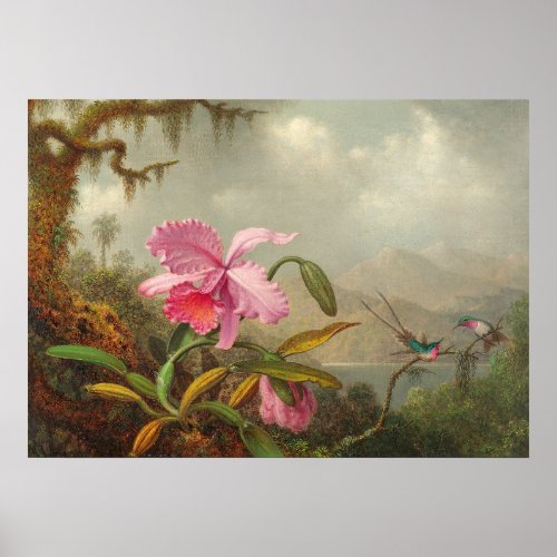 Orchids and hummingbird  by Martin Johnson Heade P Poster