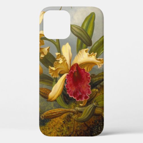 Orchids and Hummingbird Heade iPhone 12 Case