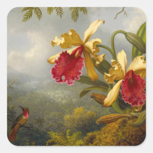 Orchids and Hummingbird Heade Square Sticker
