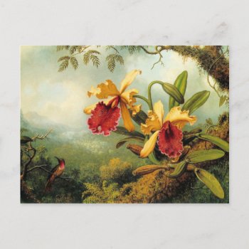 Orchids And Hummingbirds Postcard by tnmpastperfect at Zazzle