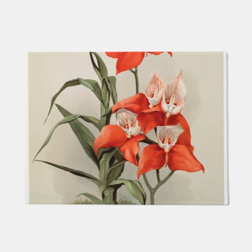 Orchids Blooming Flower Vintage Old Illustration Doormat