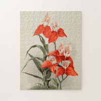 Orchids Blooming Flower Vintage Old Illustration