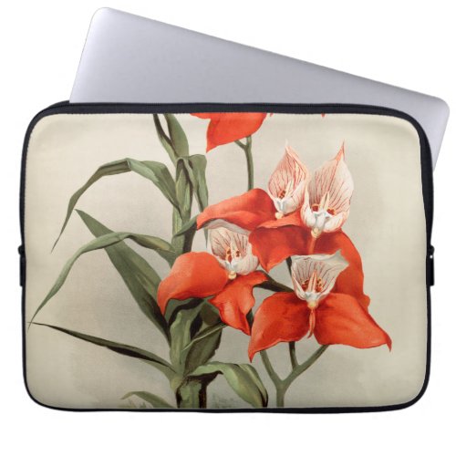 Orchids Blooming Flower Vintage Old Illustration Laptop Sleeve