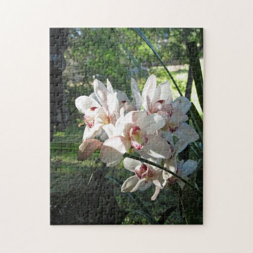 Orchids Blooming in the Spring Puzzle