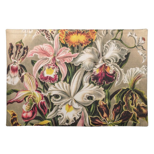 Orchids by Ernst Haeckel  Cloth Placemat (Front)