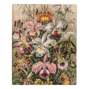 Orchids by Ernst Haeckel  Jigsaw Puzzle