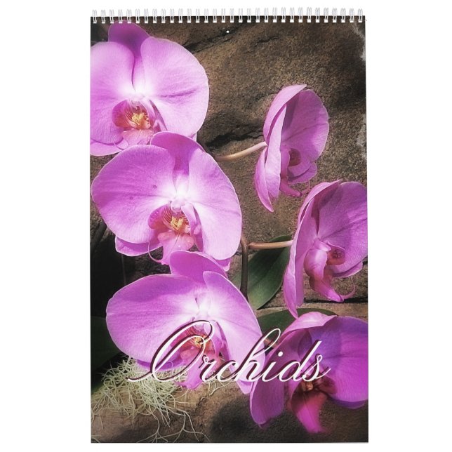 Orchids Calendar (Cover)