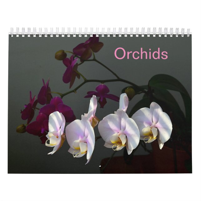 Orchids Calendar (Cover)