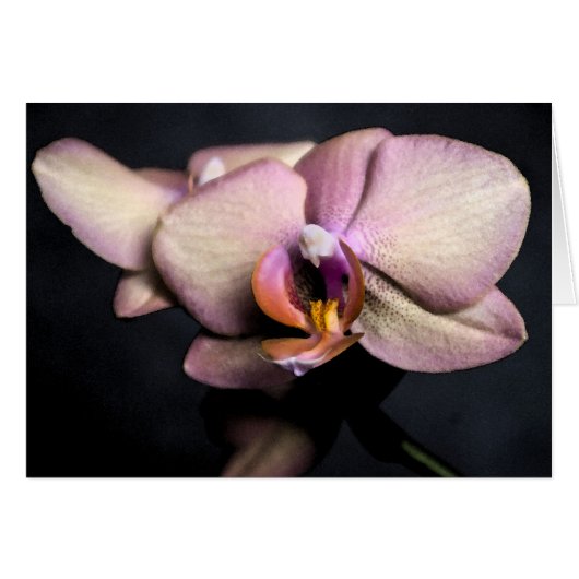 orchids card (Front Horizontal)