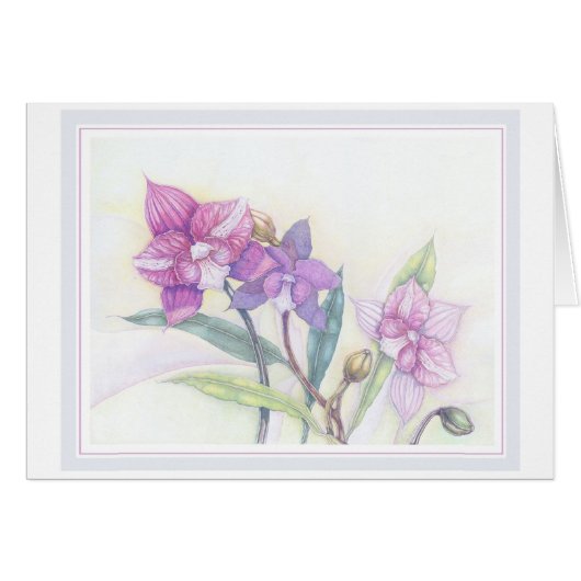 Orchids Cards (Front Horizontal)
