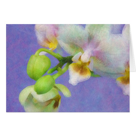 Orchids Cards (Front Horizontal)