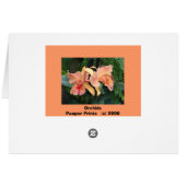Orchids Cards (Back Horizontal)