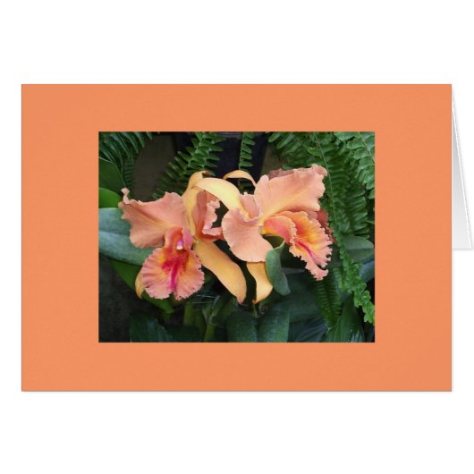 Orchids Cards (Front Horizontal)
