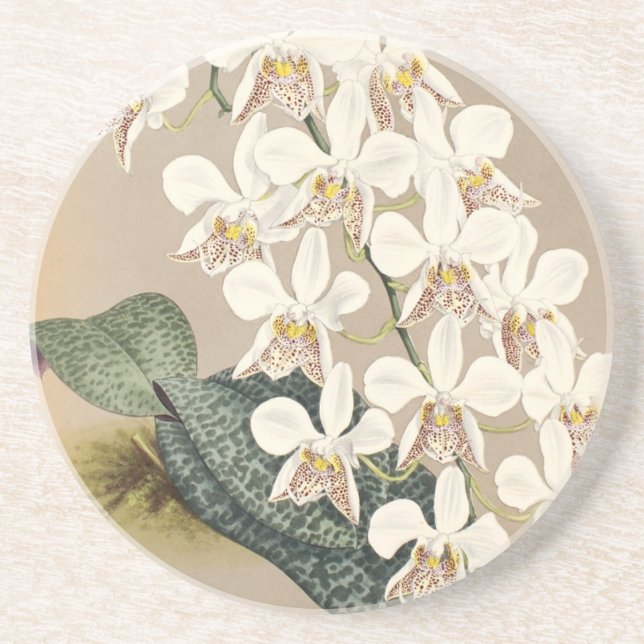 Orchids Drink Coaster (Front)