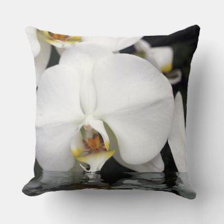 Orchids Emerging from Water Square