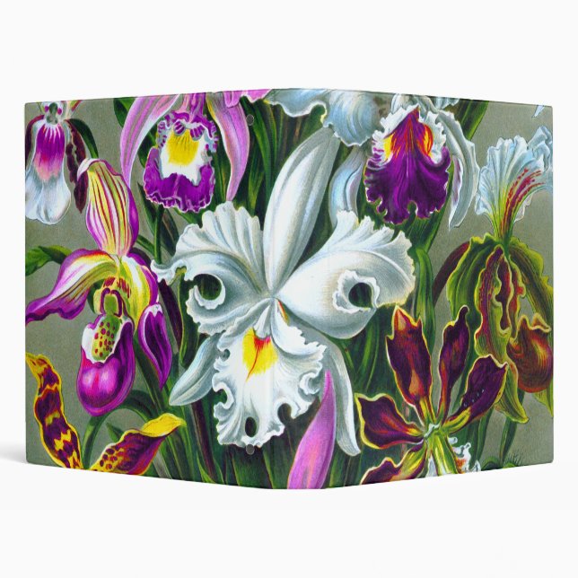 Orchids Ernst Haeckel Fine Art Binder (Background)
