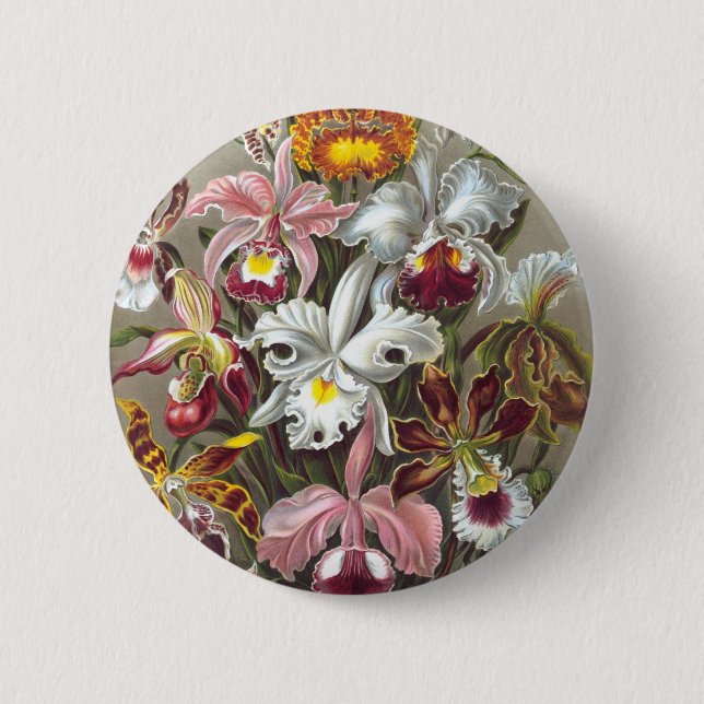 Orchids Ernst Haeckel Fine Art Pinback Button (Front)