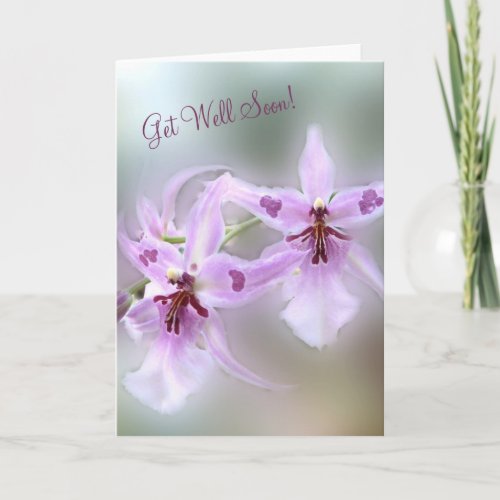 Orchids Get Well Soon Card