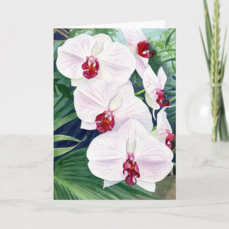 Orchids, greeting card