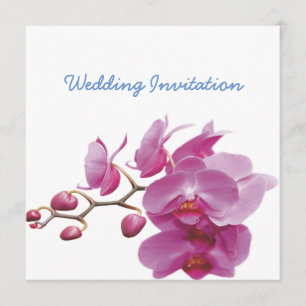 Orchids Inexpensive Wedding Packages Sets Kits Invitation