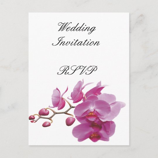 Orchids Inexpensive Wedding Packages Sets Kits Invitation Postcard Orchids Inexpensive Wedding Packages Sets Kits Invitation Postcard