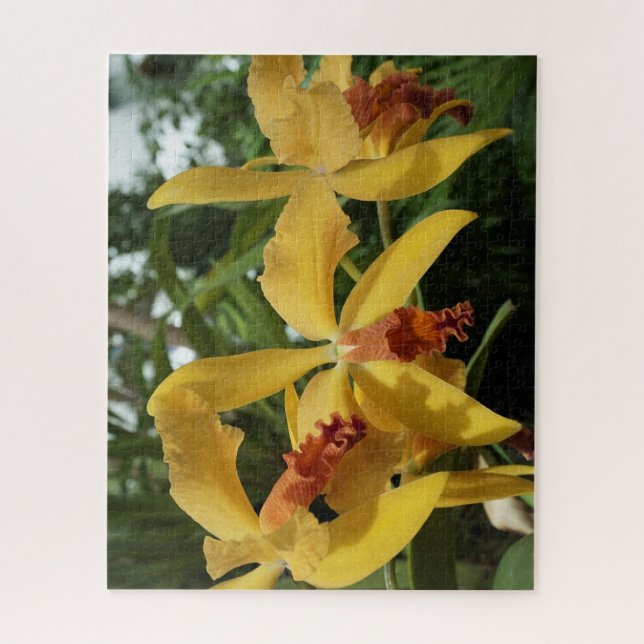 Orchids Jigsaw Puzzle (Vertical)