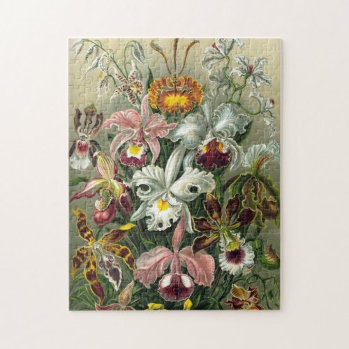 Orchids Jigsaw Puzzle