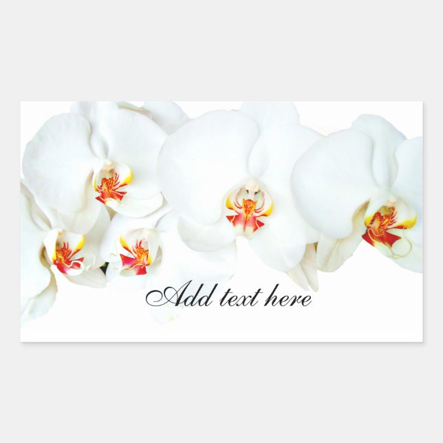 Orchids Love_ Rectangular Sticker (Front)