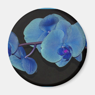 Orchids Magnet