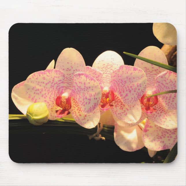 orchids mouse pad (Front)