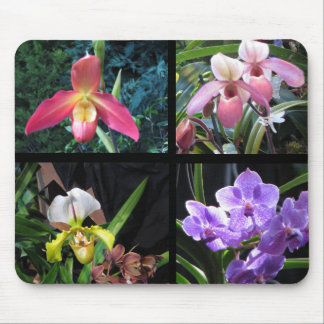 Orchids Mousepad