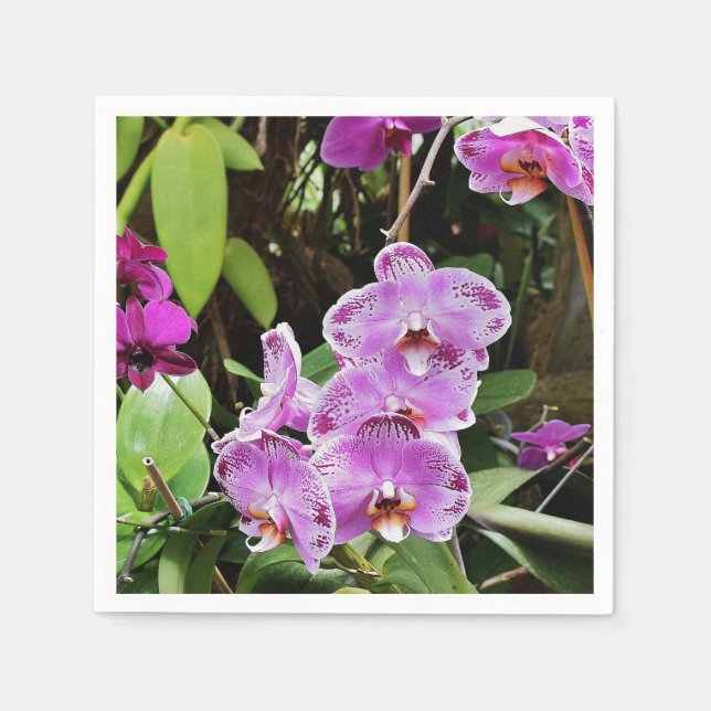 Orchids Napkins (Front)