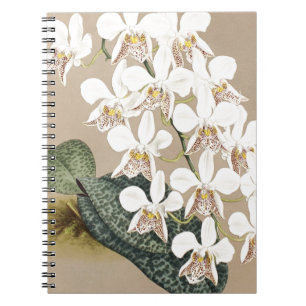 Orchids Notebook