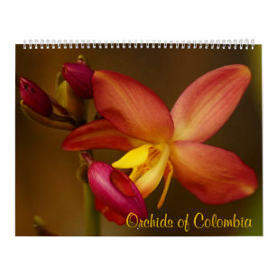 Orchids of Colombia Calendar 2013