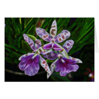 Orchids of Longwood Cards