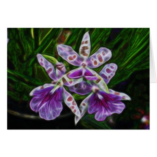 Orchids of Longwood Cards (Front Horizontal)