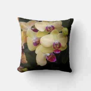 Orchids of pink and yellow throw pillow
