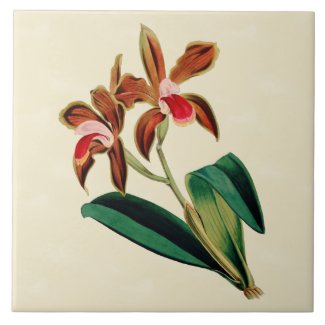 Orchids on Cream Mottled Botanical Tile 6x6