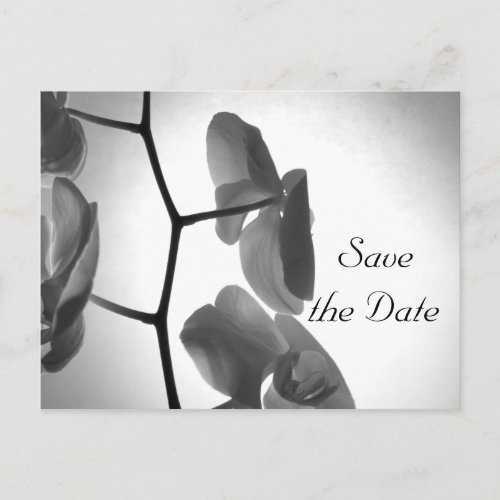 Orchids on the Stem Wedding Save the Date Announcement Postcard