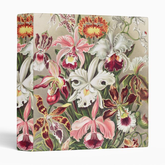 Orchids, Orchideae Denusblumen by Ernst Haeckel 3 Ring Binder (Front/Spine)